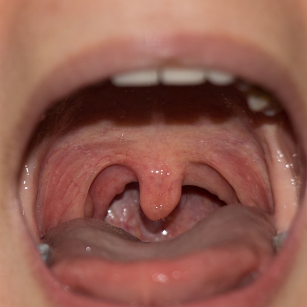 human throat